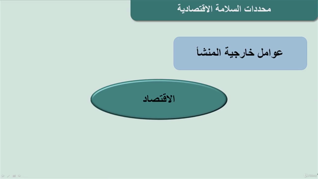 البرمجة المالية: تحليل حسابات الاقتصاد الكلى – Screenshot 3