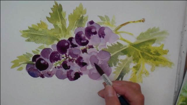 STRESS Buster. Paint some GRAPES, 3 colours, lots of water. – Screenshot 3