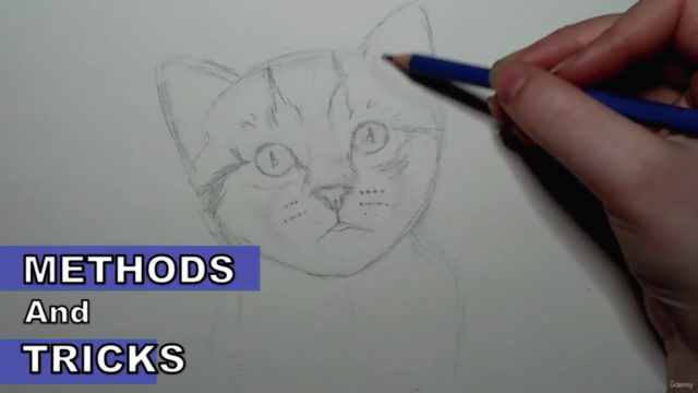 Ultimate & Complete Drawing course : Beginner to Advanced! – Screenshot 2
