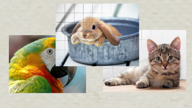 Ultimate & Complete Drawing course : Beginner to Advanced! – Screenshot 4