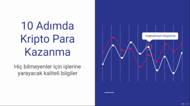 10 Adımda Kripto Para Kazanma – Screenshot 1
