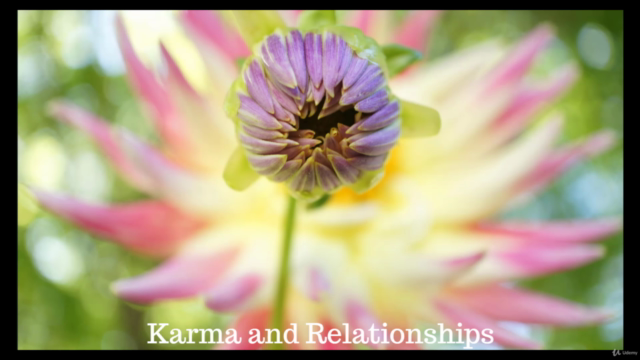 Past Life Relationship Coach – Screenshot 2