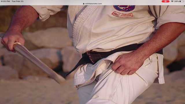 Dissect the Dissection of Isshinryu: Seisan Kata Bunkai – Screenshot 1