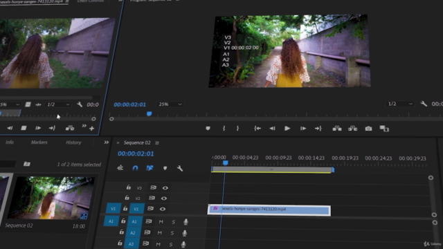 Video Editing And Color Grading In Adobe Premiere Pro CC – Screenshot 4