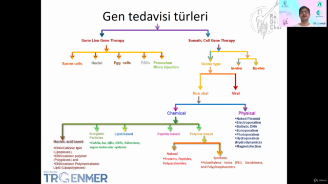 Genetik Tedavi Yaklaşımları Eğitimi – Screenshot 2