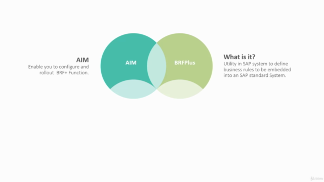 SAP BRFPlus Step by Step: Getting Started – Screenshot 1
