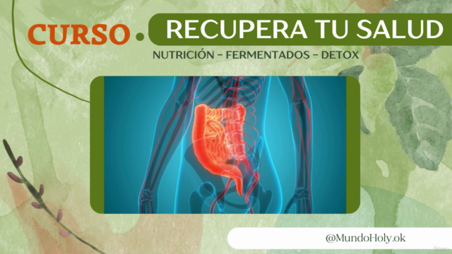 Recupera tu Salud - Detox + Fermentados + Nutrición – Screenshot 1