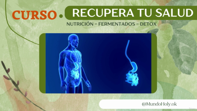 Recupera tu Salud - Detox + Fermentados + Nutrición – Screenshot 3