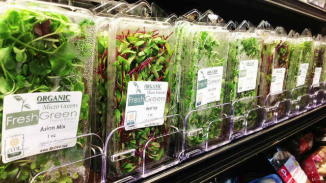 Grow microgreens for your family and business – Screenshot 1