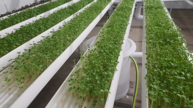 Grow microgreens for your family and business – Screenshot 2