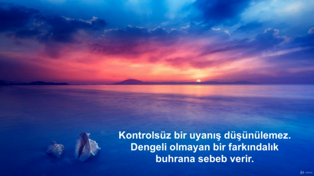 Uyanış Yolculuğu – Screenshot 4