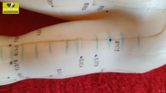 Understanding Acupuncture – Screenshot 2