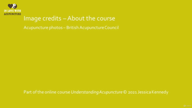 Understanding Acupuncture – Screenshot 4
