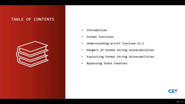 Format String Vulnerabilities – Screenshot 1