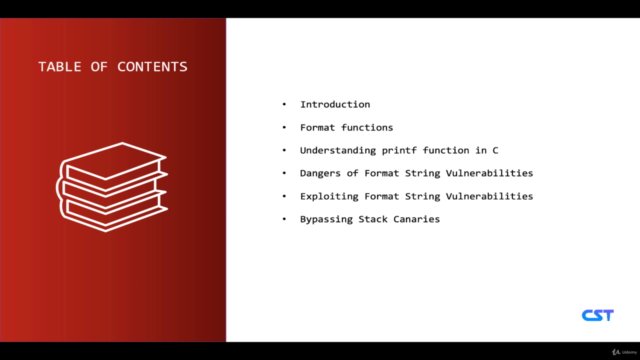 Format String Vulnerabilities – Screenshot 2