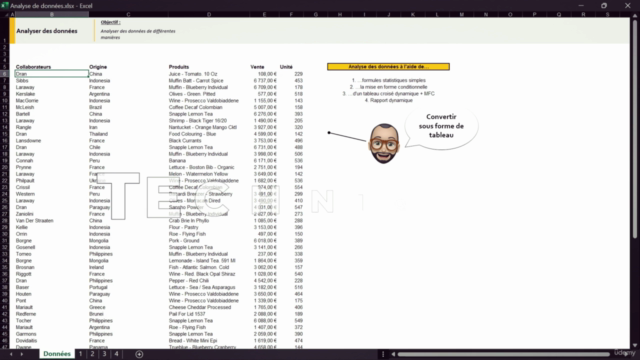 Excel Data Analysis : Analyser des données rapidement - Screenshot_02