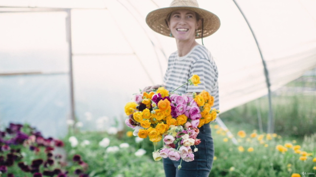 A Beginners Guide to Growing Ranunculus and Anemones – Screenshot 4