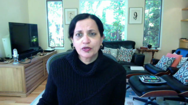 Alternatives to Unicorn Chasing VCs with Sramana Mitra – Screenshot 4