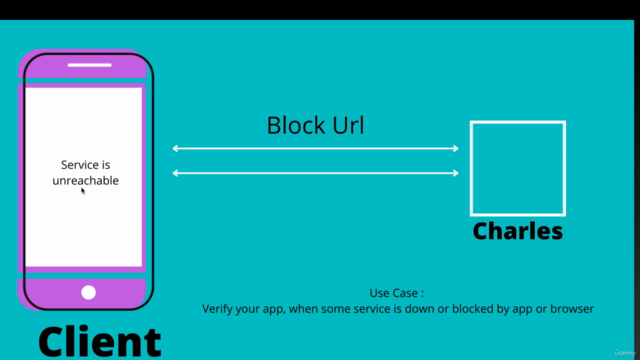Charles Proxy: Proxy Tool for Developers & Testers – Screenshot 3