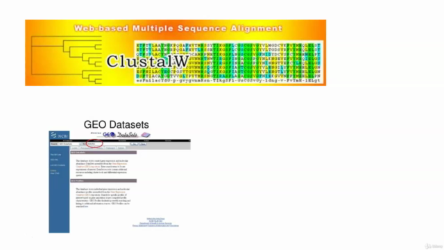 NCBI tools in Linux – Screenshot 3