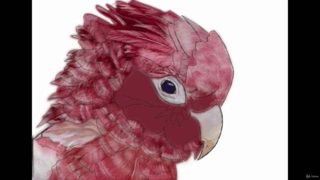 Procreate tutorial, a realistic bird (digital ipad drawing) – Screenshot 3