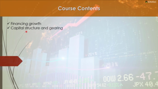 Corporate Finance and Investment Decisions – Screenshot 2