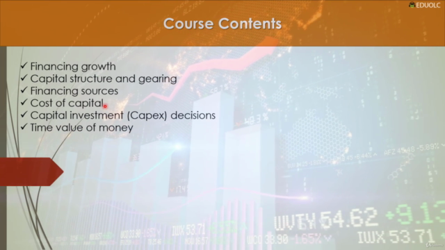 Corporate Finance and Investment Decisions – Screenshot 3