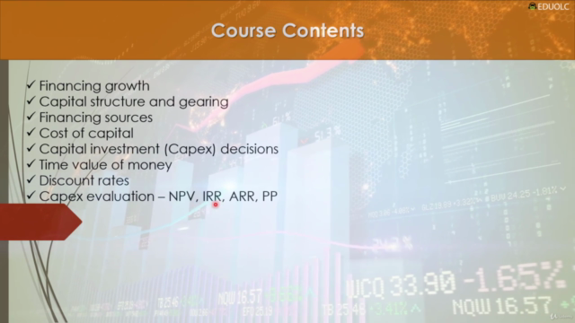 Corporate Finance and Investment Decisions – Screenshot 4