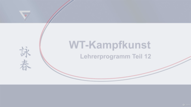 WT-Kampfkunst (Lehrerprogramm 12) – Screenshot 4