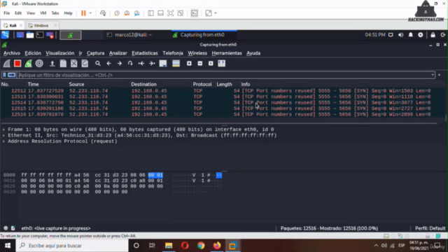 Hacking Ético 2024: Curso de Wireshark Para Pentesting - Screenshot_01