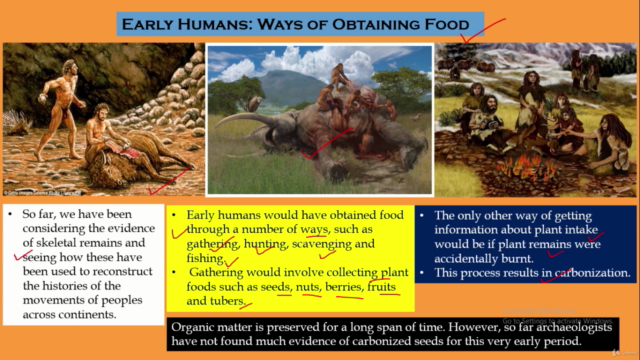 World History-The story of Early Humans. – Screenshot 2