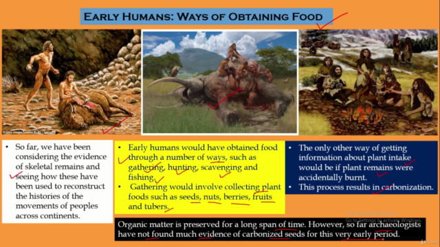World History-The story of Early Humans. – Screenshot 3