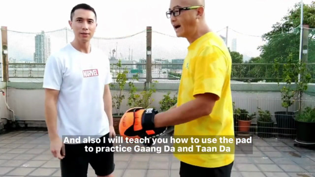 Wing Chun Sil Lim Tao (Siu Nim Tau) First Form Advanced – Screenshot 4