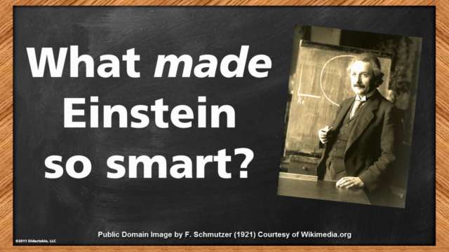 Learn Like Einstein: 10 Habits of Extraordinary Genius – Screenshot 1