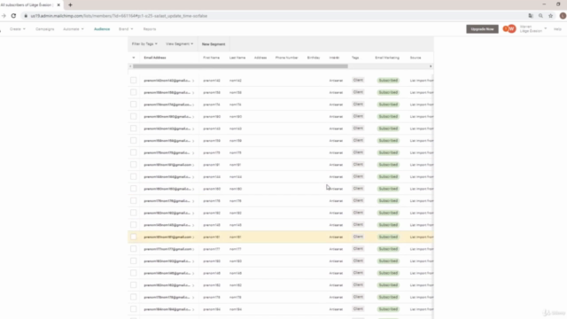 APPRENDRE MAILCHIMP - LES FONDAMENTAUX – Screenshot 3