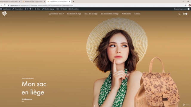 APPRENDRE MAILCHIMP - LES FONDAMENTAUX – Screenshot 4