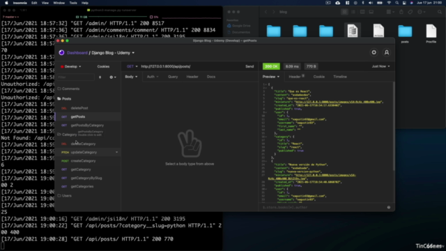 Django REST Framework de cero a experto – Screenshot 4
