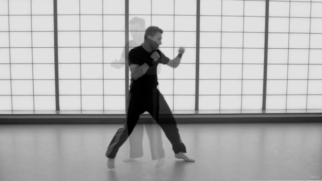 Martial Arts Strikes: How to Punch, Kick & Move like a Pro! – Screenshot 3