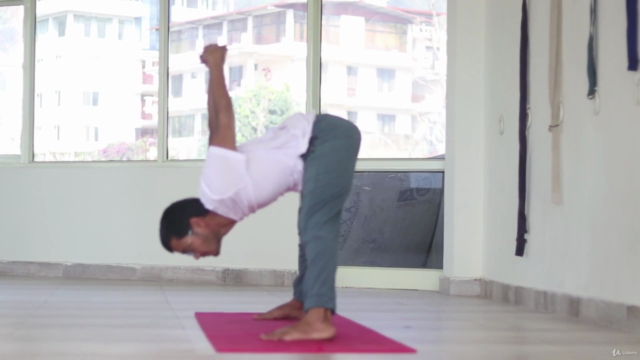 4 Hours of Complete Vinyasa Yoga Flow with instructions – Screenshot 2