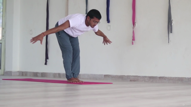 4 Hours of Complete Vinyasa Yoga Flow with instructions – Screenshot 4