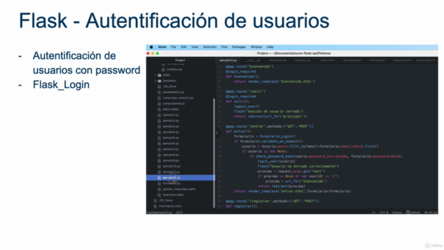 Python y Flask. Desarrollo web y APIS tipo REST con Flask – Screenshot 4
