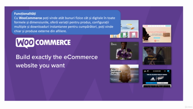 Curs Woocommerce 2025 pentru realizarea unui magazin online – Screenshot 3