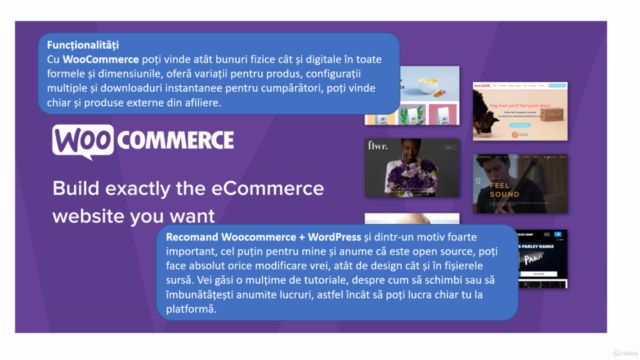 Curs Woocommerce 2025 pentru realizarea unui magazin online – Screenshot 4