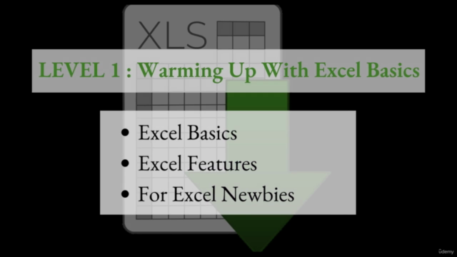 Excel Microsoft Excel - 5 Levels Mastery Course 19+ hours - Screenshot_01