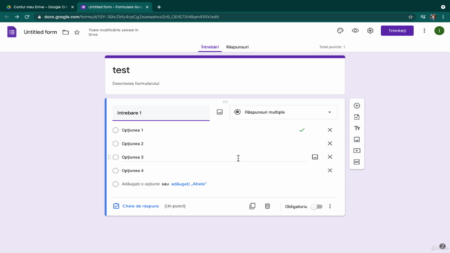 Utilizarea Google Forms pentru teste online – Screenshot 4