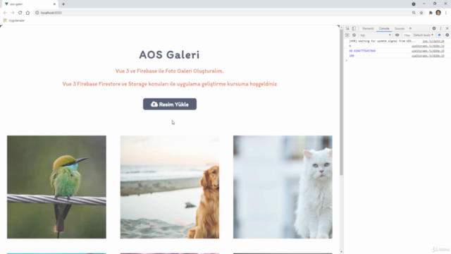 Vue 3 ve Firebase ile Galeri Uygulaması Geliştirme – Screenshot 4