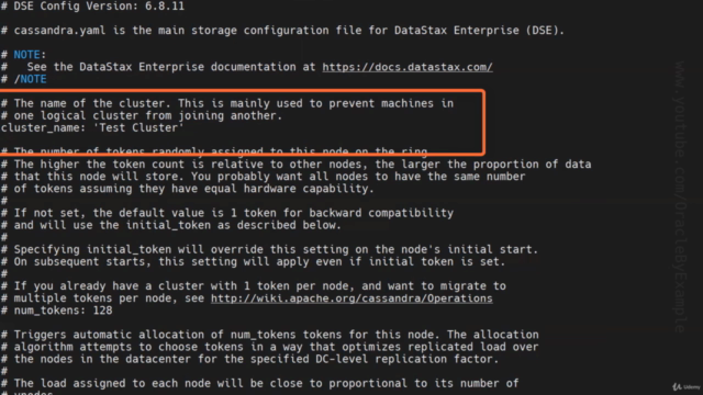 DataStax Enterprise (DSE) Installation & Configuration – Screenshot 2