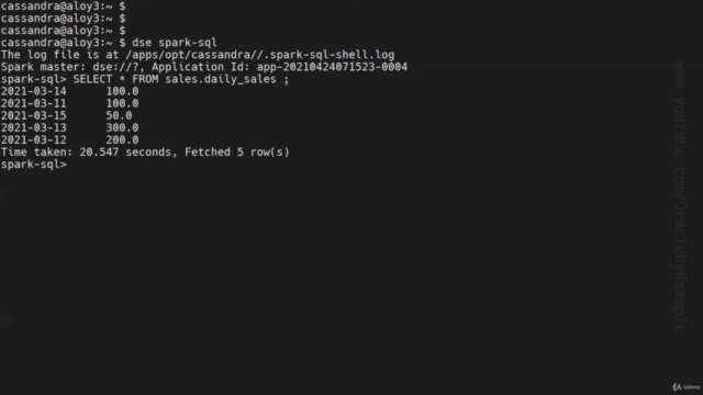 DataStax Enterprise (DSE) Installation & Configuration – Screenshot 4