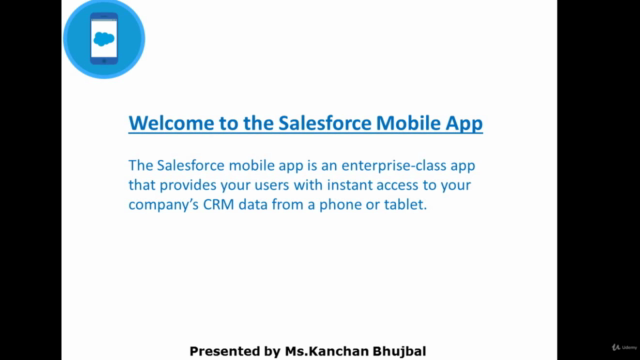 Salesforce Mobile App Customization – Screenshot 1