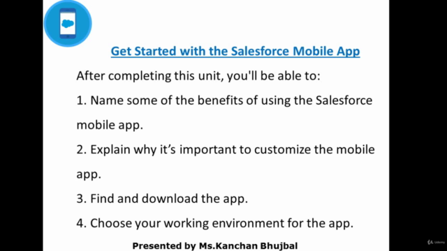 Salesforce Mobile App Customization – Screenshot 4